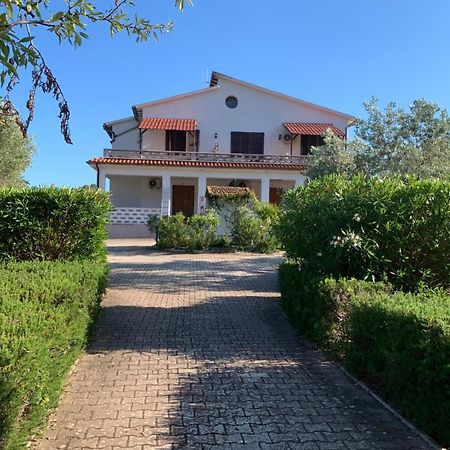 Villa Conti Residence Лакона Екстериор снимка